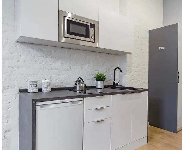 Kawalerka W Srodmiesciu 24 *